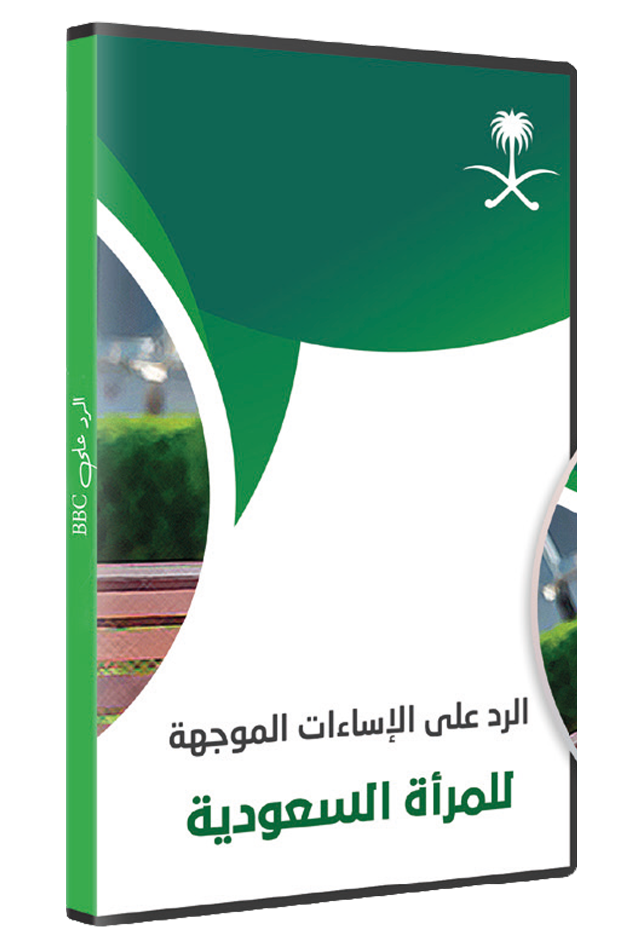 الرد على الإساءات